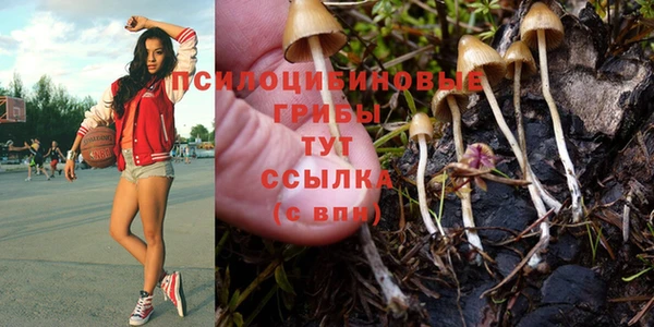 mdpv Алексеевка