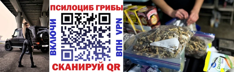 хочу наркоту Павловский Посад Галлюциногенные грибы мухоморы