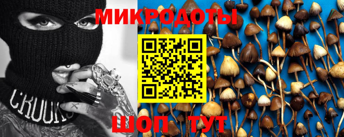закладка  Псилоцибиновые грибы мицелий  Вход с VPN  Павловский Посад  Псилоцибиновые грибы GOLDEN TEACHER 