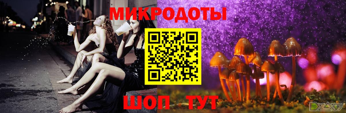 Галлюциногенные грибы Psilocybe Павловский Посад